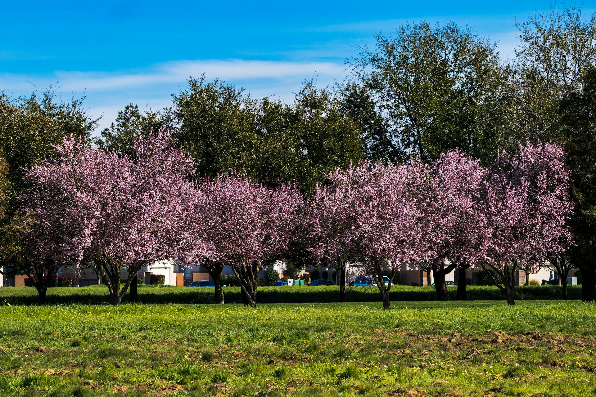 Refinance Mortgage Elk Grove